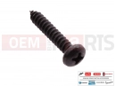 PIAGGIO Beverly 250 75 pc - 014754 - Vis