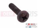 PIAGGIO 257403 - Vis