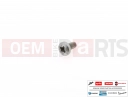 AP0240195 - Vis (spec)