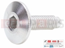 MOTOGUZZI V85 TT E5+ (EU) 2B014101 - Vis
