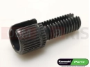 KAWASAKI 1999 92009-1134 - SCREW,CBL ADJUST,8MM