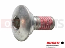 DUCATI 2007 Superbike 1098 S Tricolore 77914401B - Vijak (M6x15)