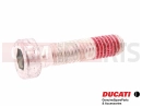 DUCATI 2013 HYPERSTRADA 5 pc - 77310021A - Vis