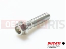 DUCATI 2007 Superbike 1098 S Tricolore 5 kosov - 77251038B - Vijak (M6x25)