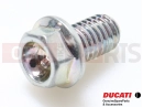 DUCATI 2002 Supersport 900 SS 2 kosov - 77250968B - Vijak (M6x10)