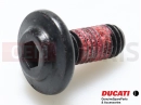 DUCATI 2015 Hyperstrada 77210893B - Vis