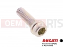 DUCATI 2013 HYPERSTRADA 2 pc - 77156678B - Vis