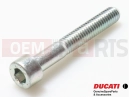 DUCATI 2012 Monster 696 ABS 5 pc - 77150738B - Vis