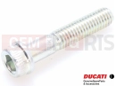 DUCATI 2007 Superbike 1098 S Tricolore 77156458B - Vijak
