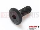 DUCATI 2007 Superbike 1098 S Tricolore 2 kosov - 77910391A - Vijak (M8x21,5)