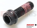 DUCATI 2021 Diavel 1260 2 pc - 77110401B - Vis