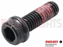 DUCATI 2025 Desert X 2 pc - 77110401B - Vis