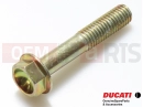 DUCATI 2002 Supersport 900 SS 5 szt. - 8A0069056 - Wkręt (M8X1.25X45)