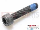 PIAGGIO 10 pc - 1A003115 - Vis