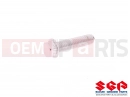 SUZUKI RM250 M (1991) (E03,E28,E33) 01547-06257 - Vijak