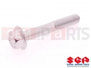 SUZUKI RM250 M (1991) (E03,E28,E33) 01550-08507 - Vijak