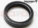 Triumph 2021 SCRAMBLER 1200 XC T2046143 - Gabel Dichtring