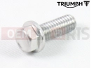 Triumph 2007 BONNEVILLE EFI > 380776 T3205063 - Bolt, HHF, Lghtd, M6 x 16, Slv