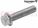 Triumph 2014 THUNDERBIRD COMMANDER T3205067 - Vis