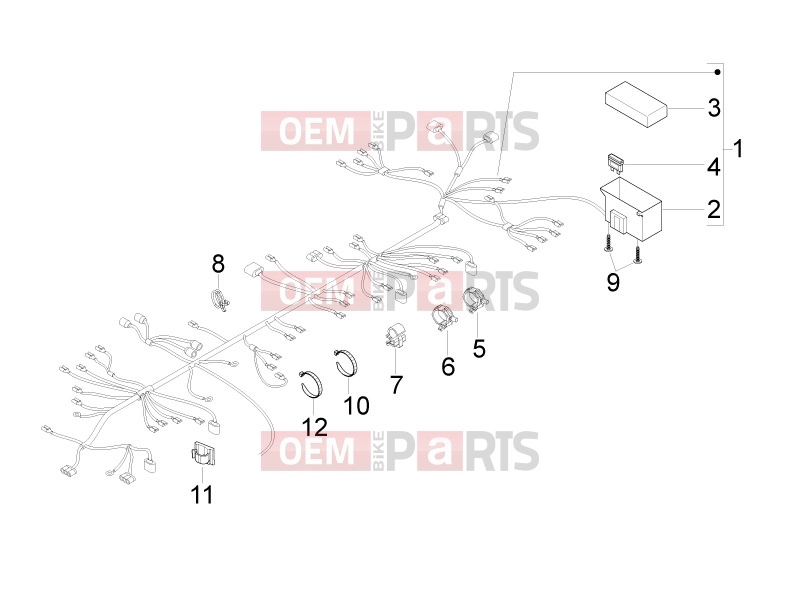 gilera 2016 Runner 50 SP Electrical system » Main cable harness