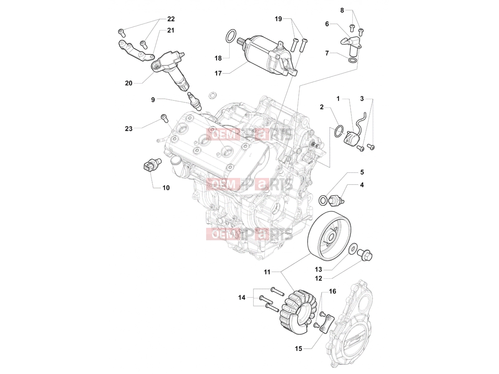 Engine Electric System - MV Agusta Rivale 800