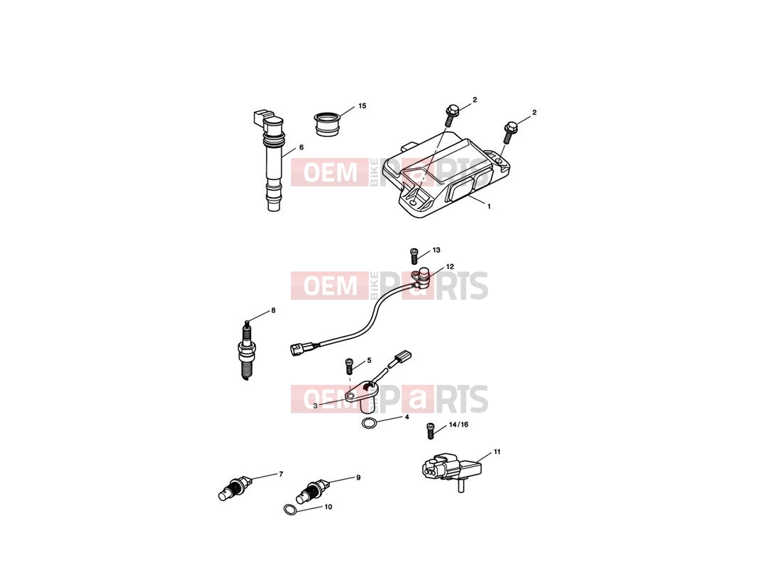 Triumph 2010 SPRINT ST 208167 > Engine Management System