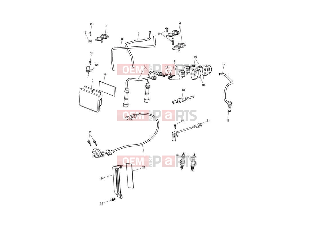 Triumph 2007 SPEEDMASTER EFI Engine Management System