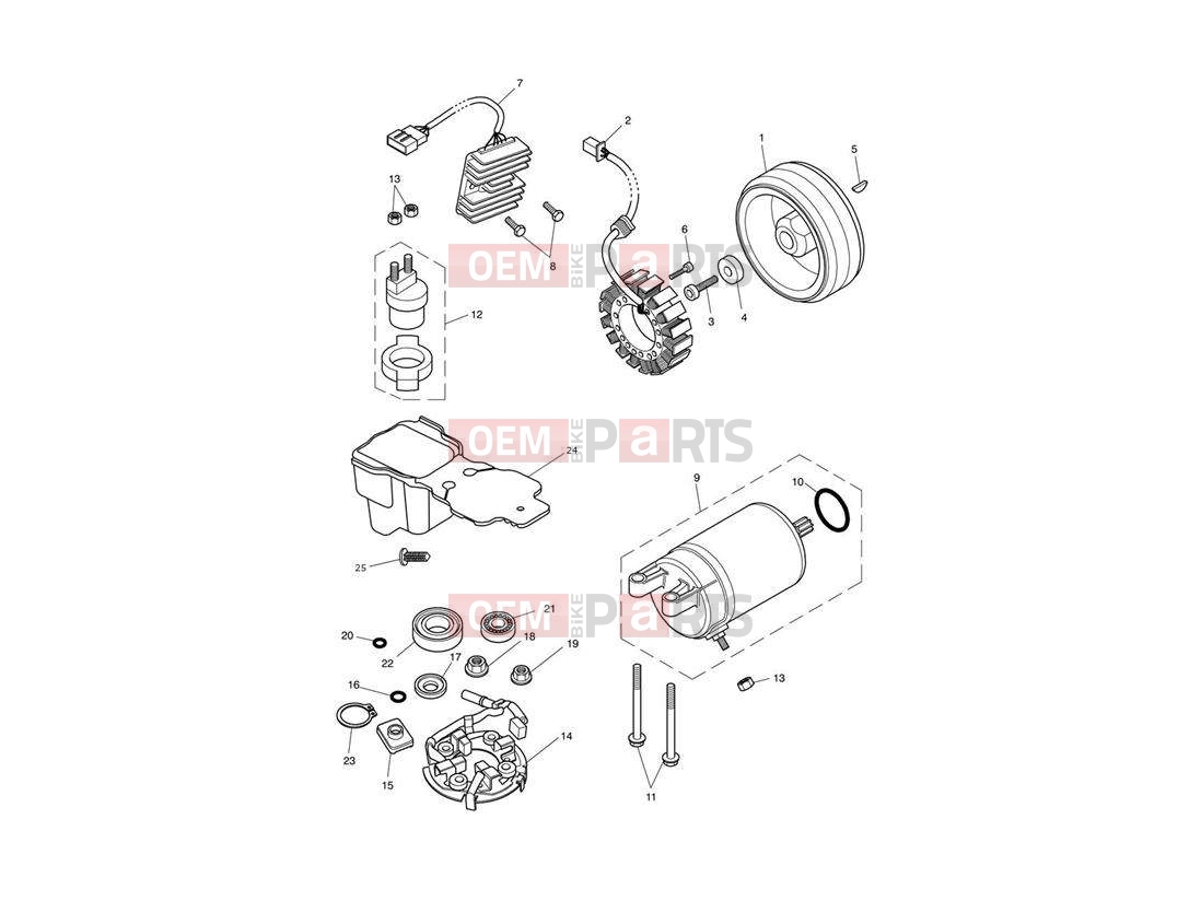 Triumph 2012 SPEEDMASTER EFI Starter & Alternator