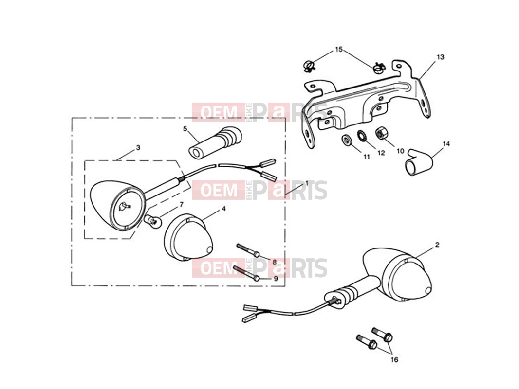 Triumph 2006 SCRAMBLER CARB Front Indicators