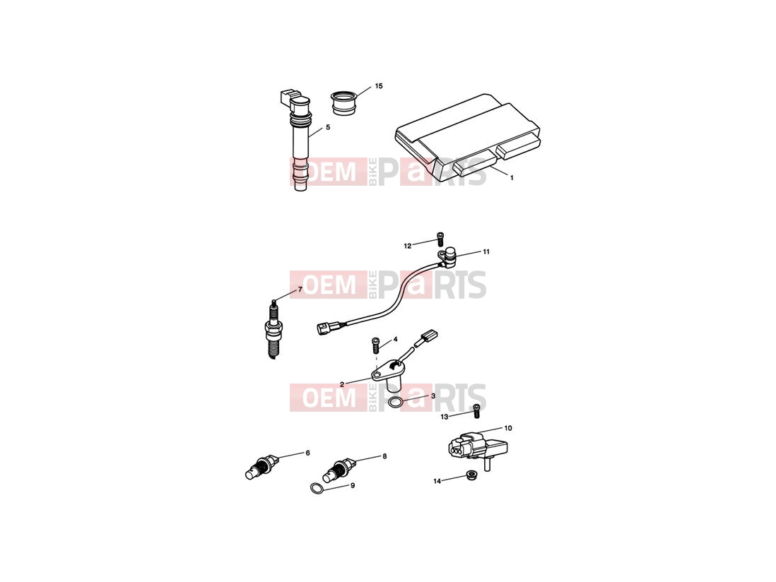 Triumph 2009 Tiger 1050 Engine Management System