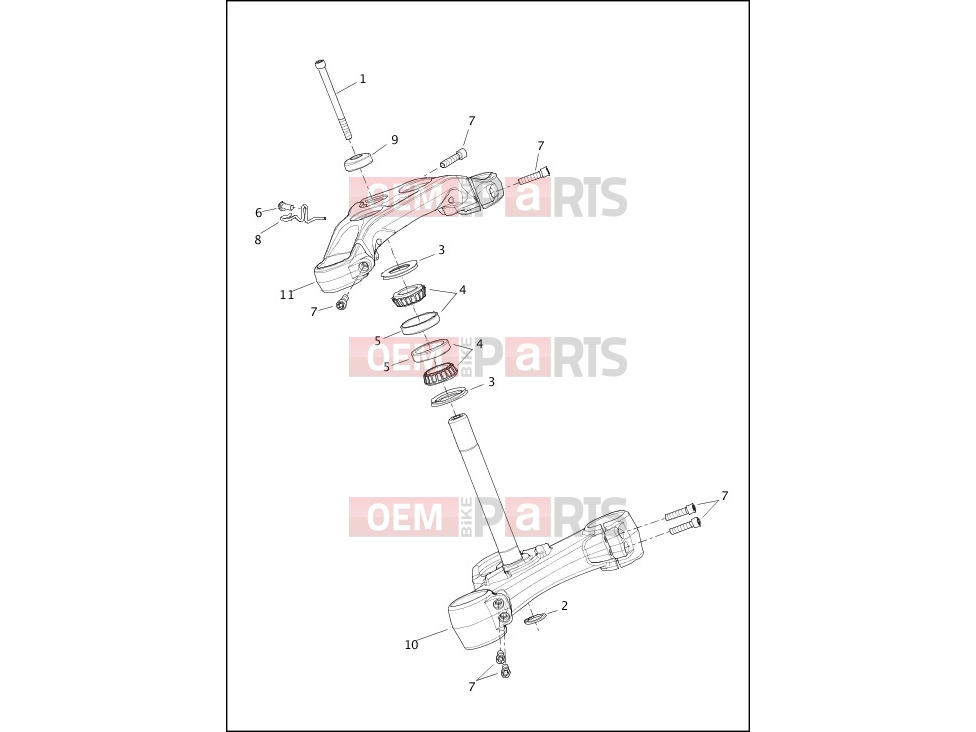 Harley-Davidson 2023 SOFTAIL SOFTAIL BREAKOUT  - FXBR FORK BRACKETS, FRONT - FXBR