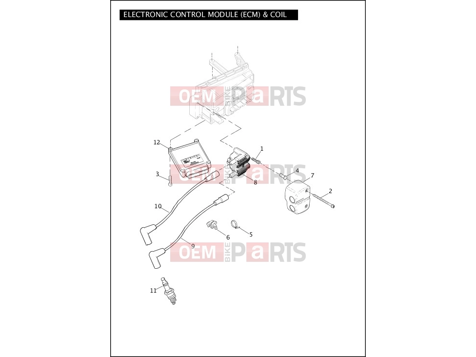 Harley-Davidson 2011 DYNA DYNA FAT BOB  - FXDF ELECTRONIC CONTROL MODULE (ECM) & COIL