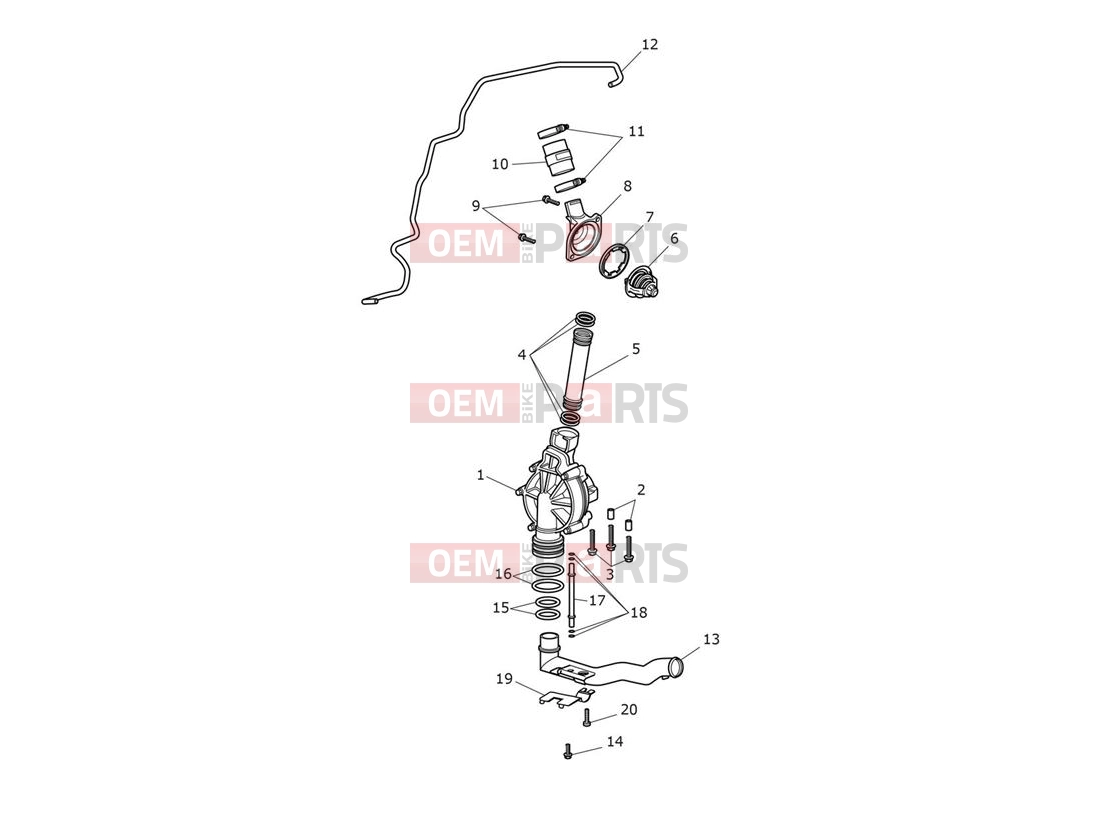 Triumph 2010 THUNDERBIRD Cooling System - continued