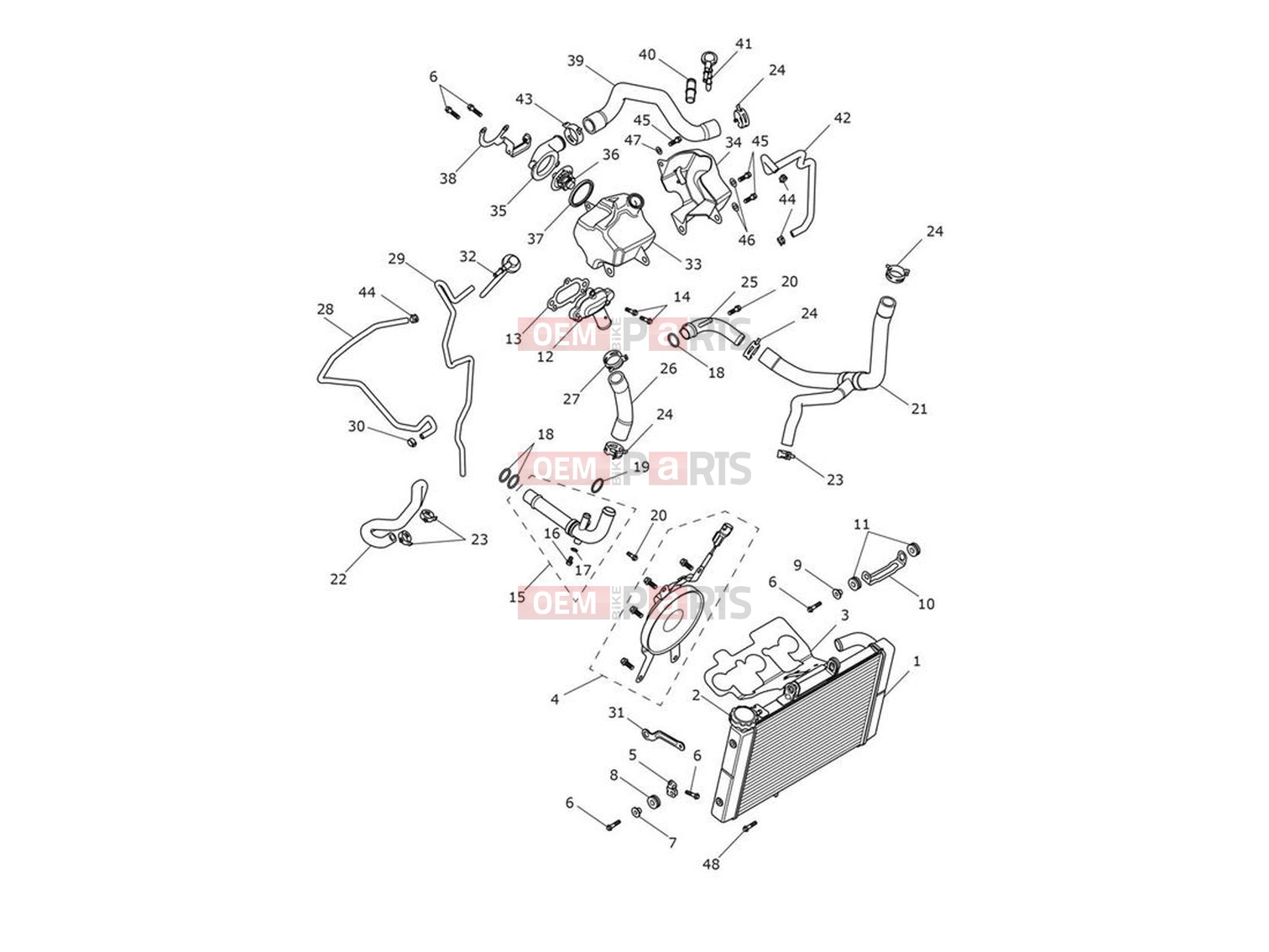Cooling System - Triumph Trident 660 2022