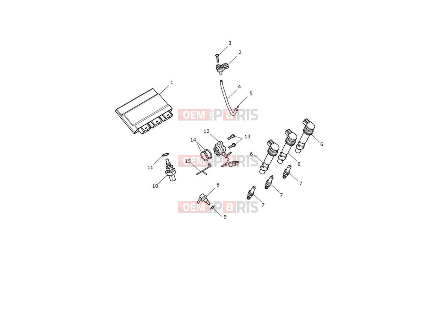 Engine Management - Triumph Trident 660 2023