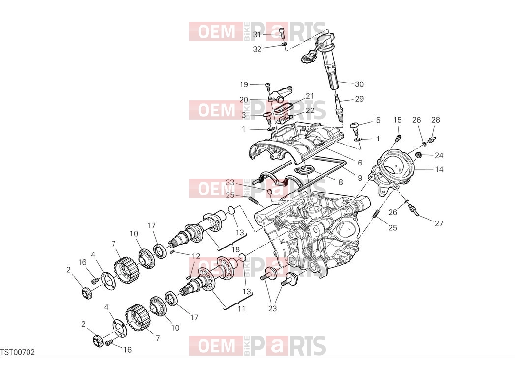 DUCATI 2025 Monster Plus Vertical head timing system