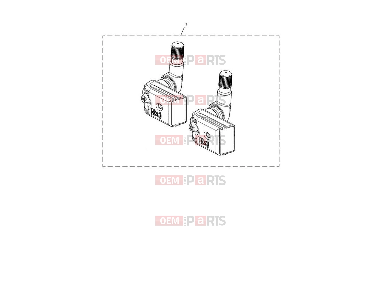 Triumph 2024 Trident 660 TPMS