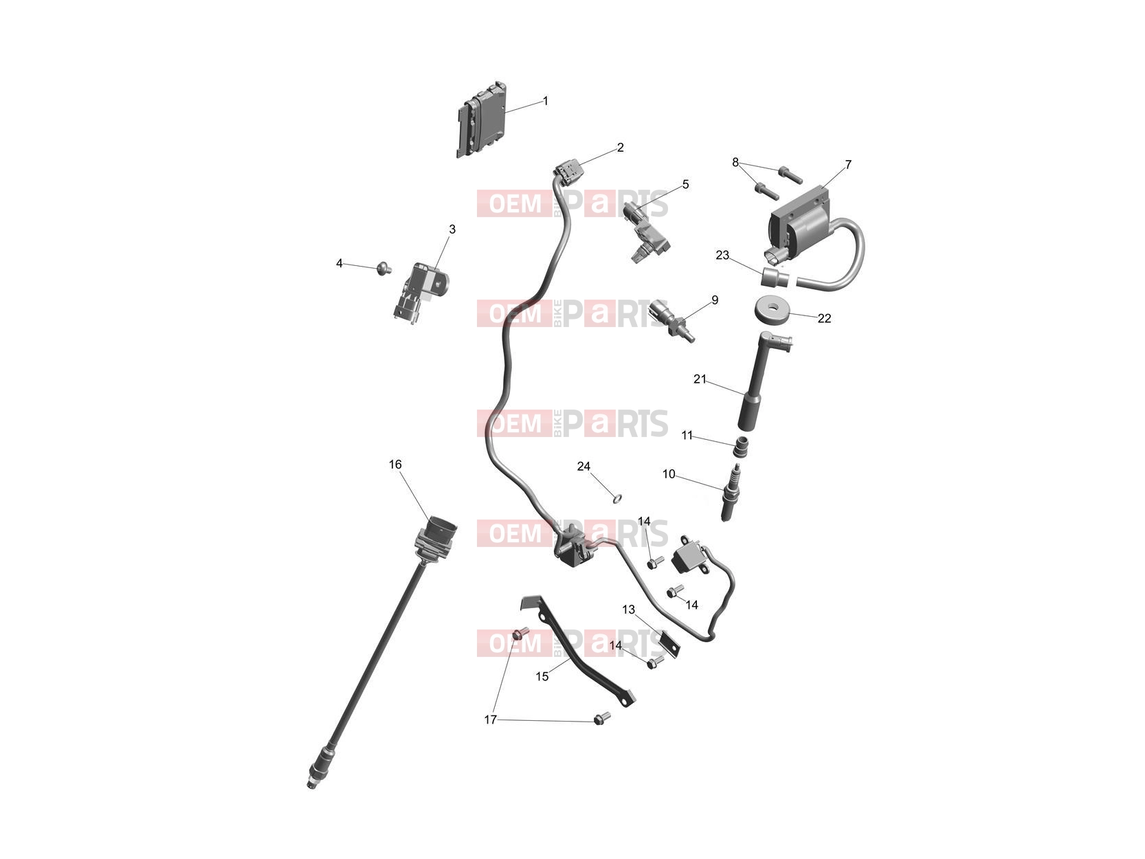 Triumph 2026 SPEED 400 Engine Management