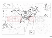 DUCATI 2014 Monster 659 ABS WIRING HARNESS » WIRING HARNESS