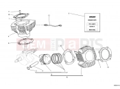 DUCATI 2011 Monster 696 ABS CYLINDER - PISTON » ENGINE CASE