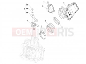 PIAGGIO BV 350 4T 4V ie E3 ( USA / CA ) Throttle body - Injector - Induction joint