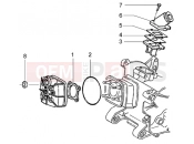 Cylinder head and induction pipe - Piaggio NRG MC3 Purejet