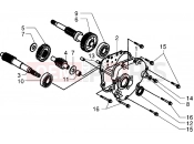 PIAGGIO X9 250 Transmission