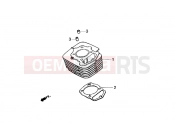 gilera Coguar Cylinder
