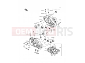 KAWASAKI KMX125 (KMX125-A11) Crankcase