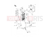 KAWASAKI KMX125 (KMX125-A11) Radiator