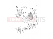 Engine Cover(s) - Kawasaki ER-6n (ER650ECF) 2012
