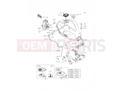 Fuel Tank - Kawasaki NINJA 300 ABS (EX300BDF) 2013