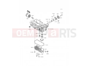 KAWASAKI 2015 Oil Pump