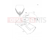KAWASAKI 2007 Decals(Silver)